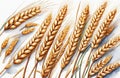 Wheat ears, wheat grains images,  3d illustration. Royalty Free Stock Photo